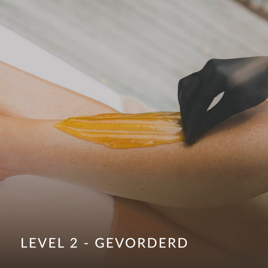 Opleiding level 2 - Hollywood, gevoelige zones & perfectietraining